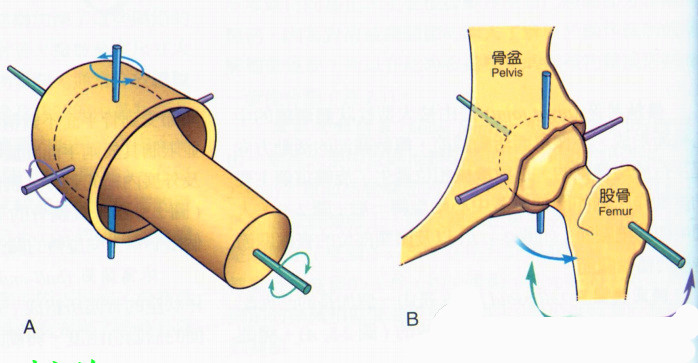 小型建筑攪拌機(jī)這一配件,竟能延長(zhǎng)其使用壽命5年?--河北東圣吊索具制造有限公司--人體關(guān)節(jié)部位